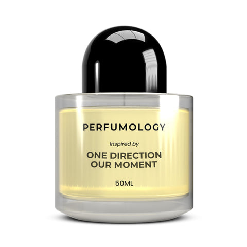 Inspired by One Direction - Our Moment
